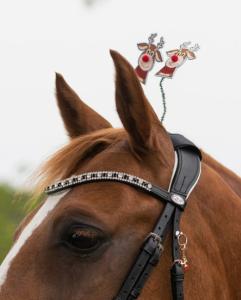 Jul-accessoar Till Träns Rudolph