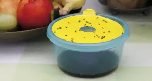 Bananflugfälla