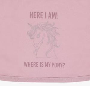 Dregglis Bobby QHP Desert Rose