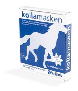 Kolla Masken Häst