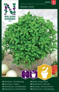 Basilika, Småbladig, Balkon Star