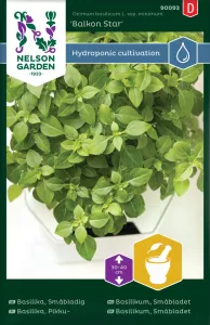 Basilika, Småbladig, Balkong Star, Harvy
