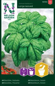 Basilika, Sallads-, Storbladig