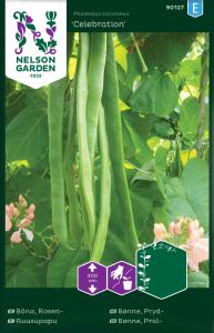 Böna, Blomster-, Celebration