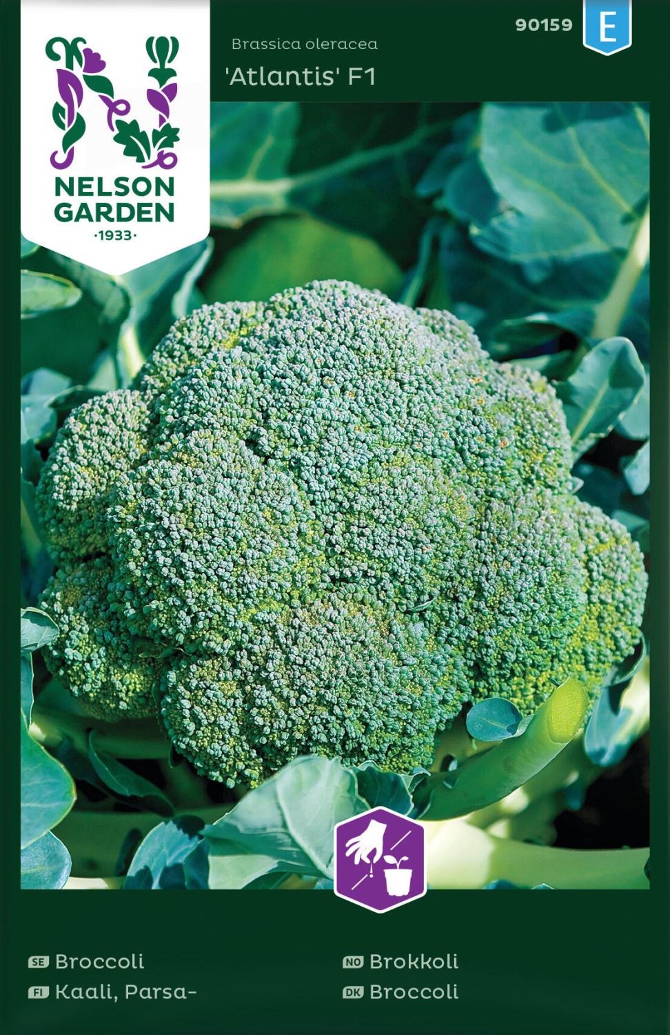 Broccoli, Atlantis F1