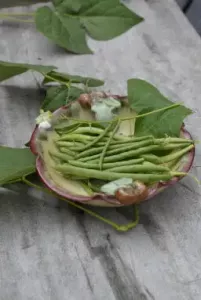 Böna, Bryt-, Cogito