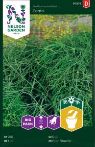 Dill, Vanlig, Como, Big Pack
