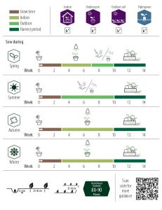 Citronmeliss, Lemona, Organic