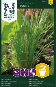 Gräslök, Vanlig, Dolores