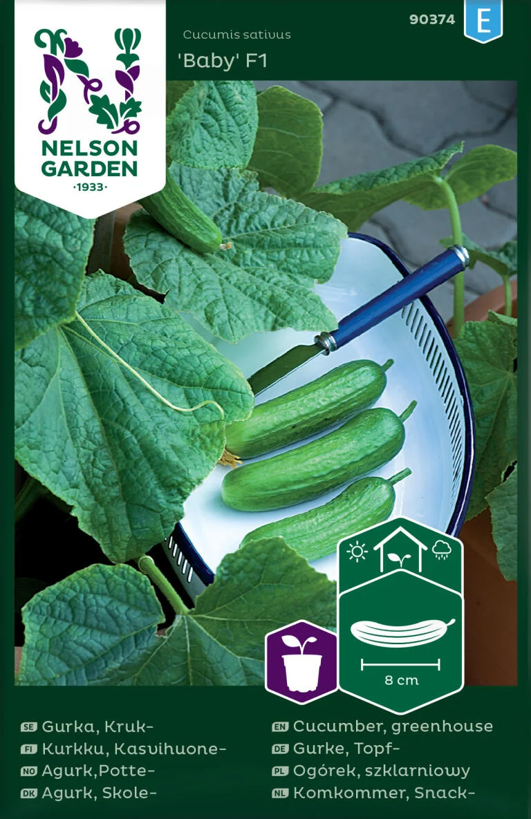 Gurka, Kruk, Baby F1