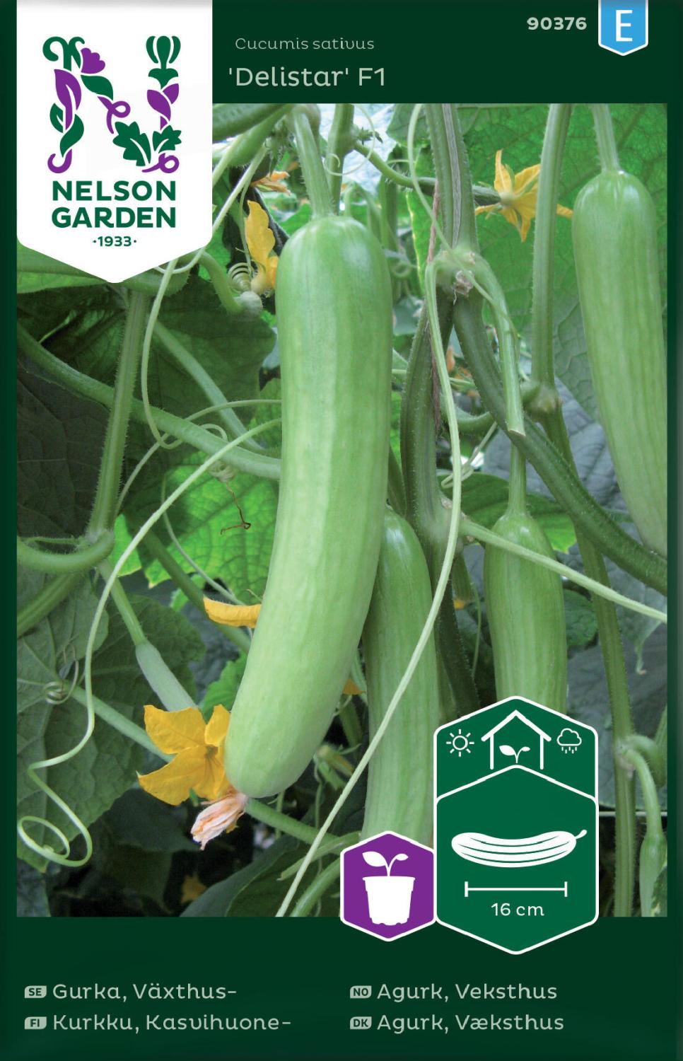 Gurka, Växthus-, Delistar F1