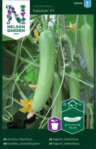Gurka, Växthus-, Delistar F1