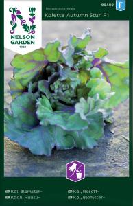 Kål, Blomster-, Autumn Star