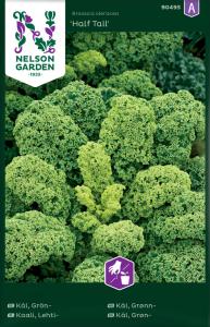 Kål, Grön-, Half Tall