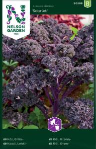 Kål, Grön-, Scarlet, röd