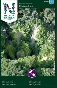 Kål, Grön-, Emerald Ice