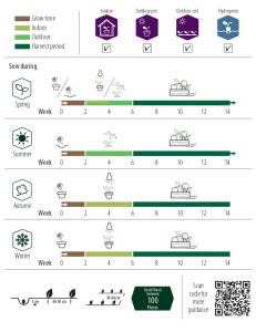 Kål, Grön-, Westlands Winter, Organic