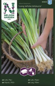 Lök, Pip-, Long White Ishikura, Såband