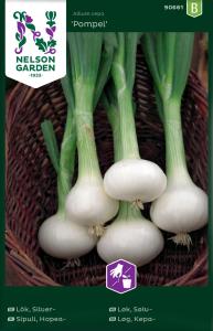 Lök, Silver-, Pompei