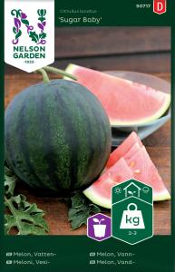 Melon, Vatten-, Sugar Baby