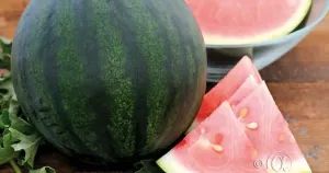 Melon, Vatten-, Sugar Baby