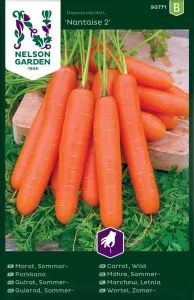 Morot, Sommar-, Nantaise 2