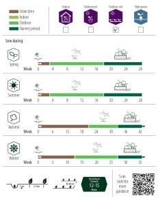 Morot, Sommar-, Nantaise 2
