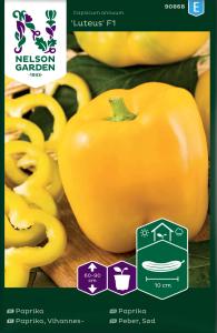 Paprika, Luteus F1, gul