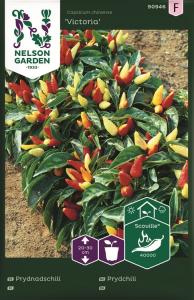 Prydnadschili, Victoria