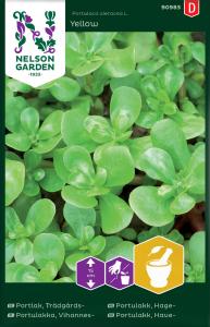 Portlak, Trädgårds-, gul