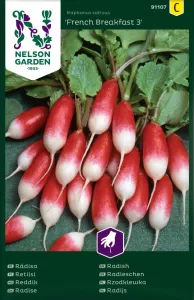 Rädisa, French Breakfast 3, avlång