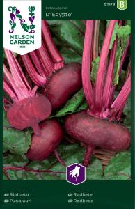 Rödbeta, D'Egypte