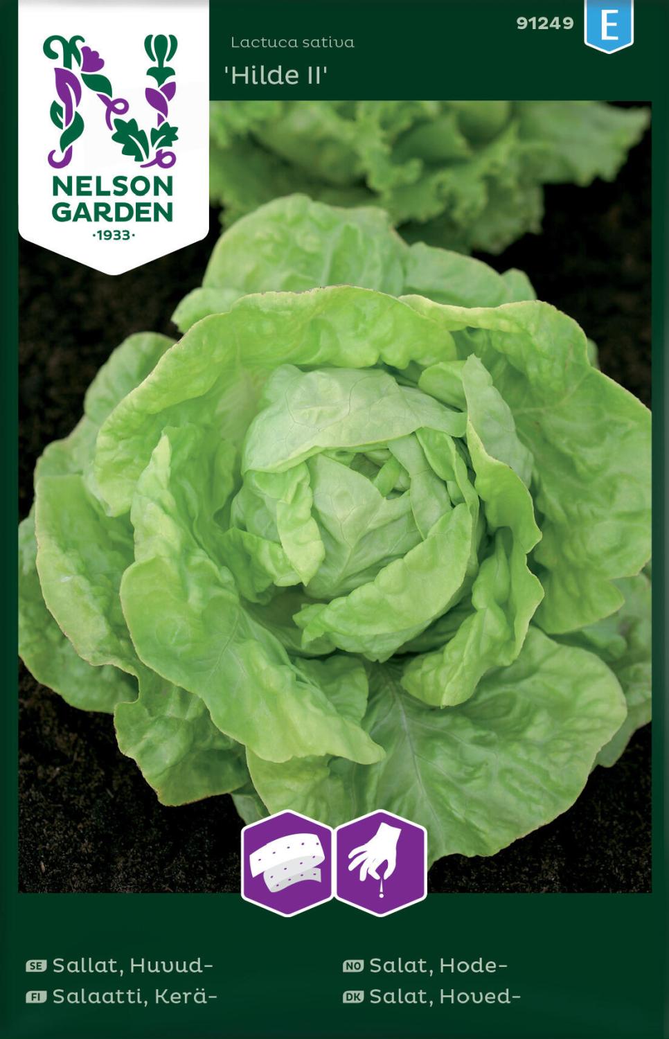 Sallat, Huvud-, Hilde II, Såband