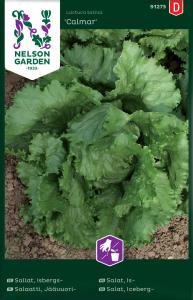 Sallat, Isbergs-, Calmar