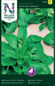 Sallat, Vinter-/Mache, Vert de Cambrai