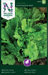 Sallat, Plock-, Australischer Gele