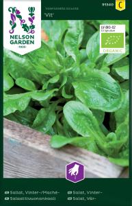 Sallat, Vinter-/Mache, Vit, Organic