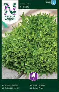 Sallat, Plock-, Skilton