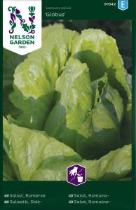 Sallat, Romersk-, Globus