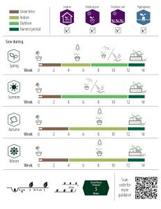 Selleri, Blad-, Gewone Snij