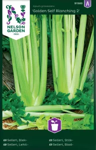 Selleri, Blek-, Golden Self Blanching 2