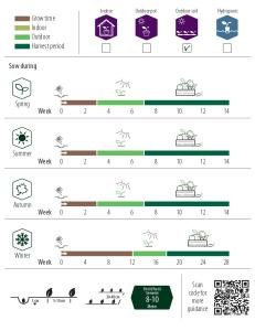 Spenat, Vroeg Reuzenblad, Organic