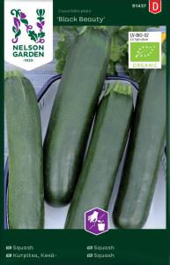 Squash, Black Beauty, Organic