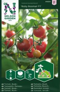 Tomat, Baby Boomer F1