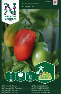 Tomat, busk-, Ranger F1