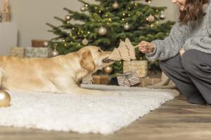 Hundleksak Xmas Julgran Plysch/Rep 38cm