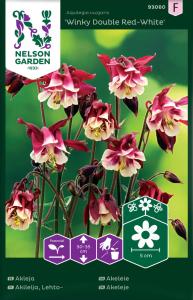 Akleja, Winky Double Red-White