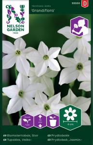 Blomstertobak, Stor-, Grandiflora, vit