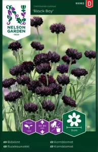 Blåklint, Black Boy, svart