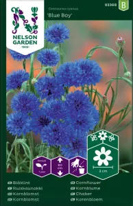 Blåklint, Blue Boy, blå